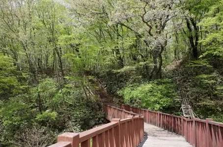 濟州島漢拏山路線 濟州島漢拏山路線