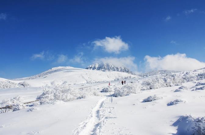 濟州島漢拿山旅遊 濟州島漢拿山旅遊