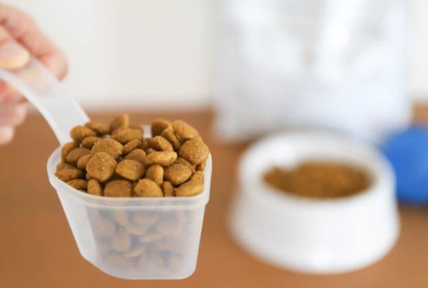 狗狗食量計算方法 狗狗食量計算方法