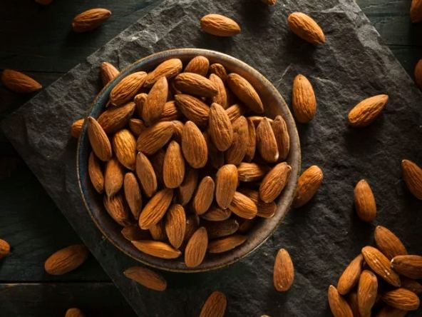 狗杏仁安全 狗杏仁安全