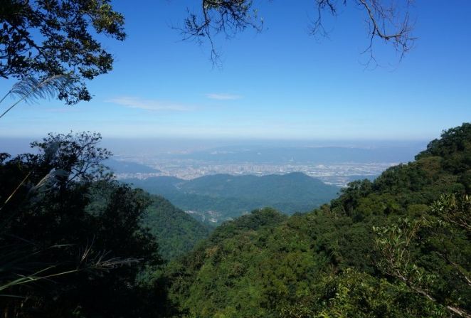 三峽白雞山公車 三峽白雞山公車