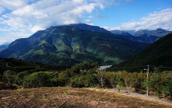 初音山登山 初音山登山