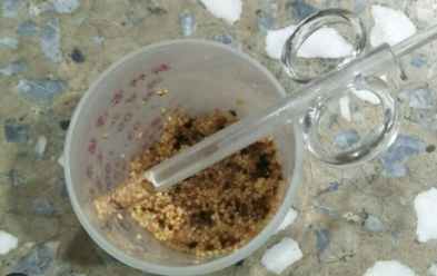 幼鳥飼料泡水比例 幼鳥飼料泡水比例