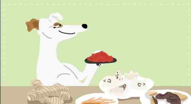 蘆薈對狗狗有害嗎 蘆薈對狗狗有害嗎