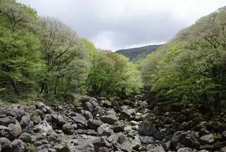 漢拏山登山 漢拏山登山