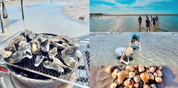 王功挖蛤蜊推薦