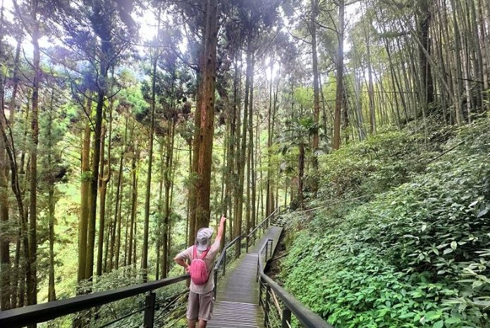阿里山旅遊景點 阿里山旅遊景點