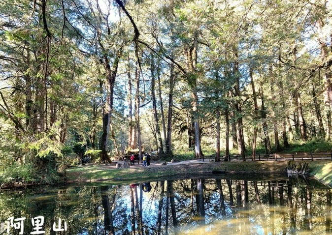 阿里山旅遊攻略