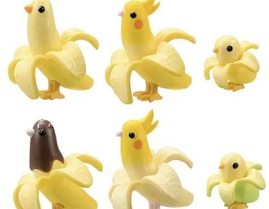 鸚鵡可以吃香蕉嗎