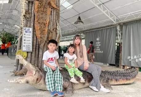 鱷魚肉料理 鱷魚肉料理