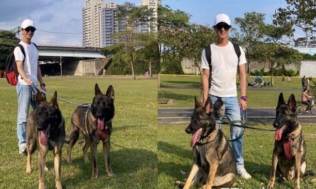 狗行為問題 狗行為問題