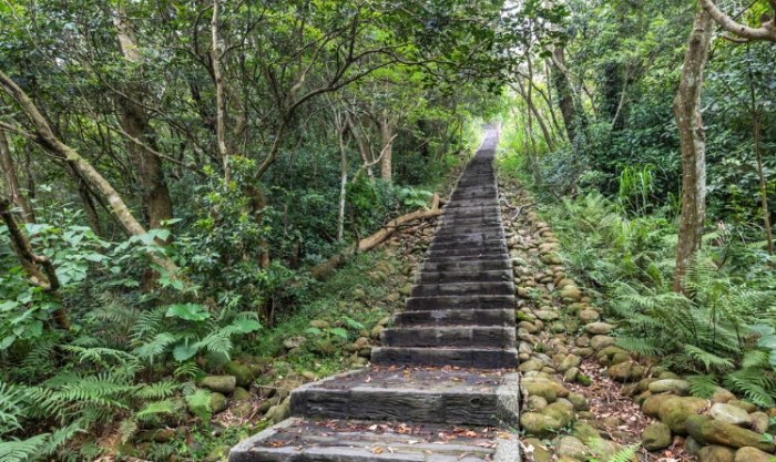 楊梅旅遊 楊梅旅遊