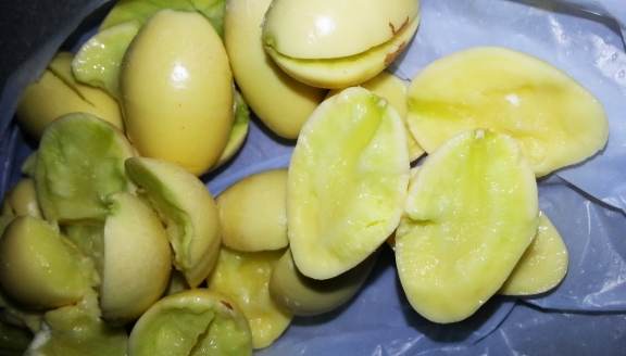 白果芯食用方法 白果芯食用方法