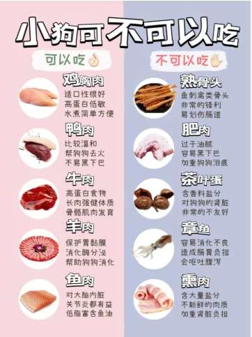 狗皮膚營養補充