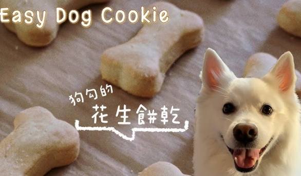 健康狗餅乾