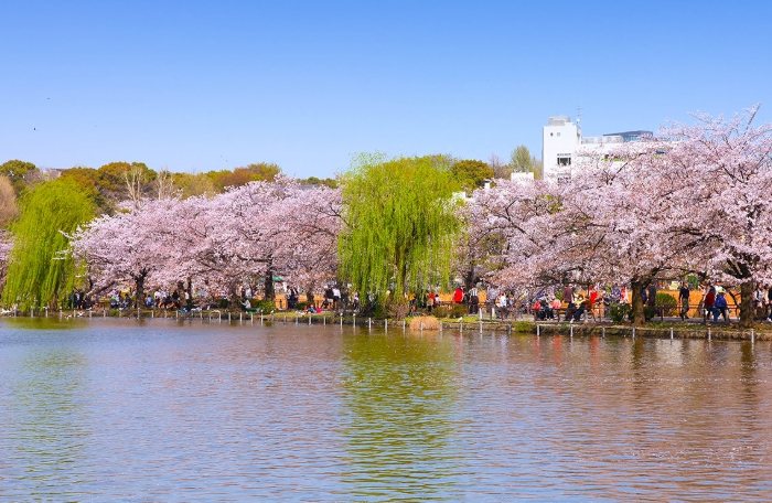 上野早上行程完全指南：東京晨間探索必備攻略