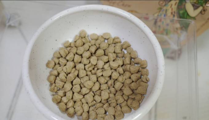 狗狗腸胃敏感飼料