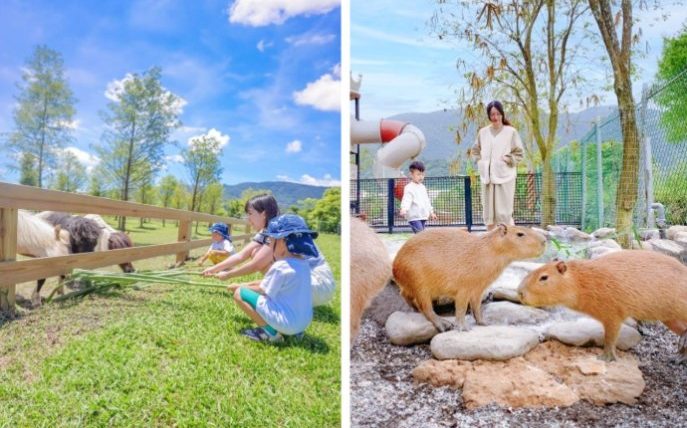 宜蘭親子農場評分最高