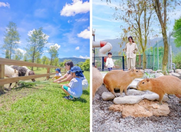 宜蘭親子農場評分最高：前5名農場推薦與完整實用攻略