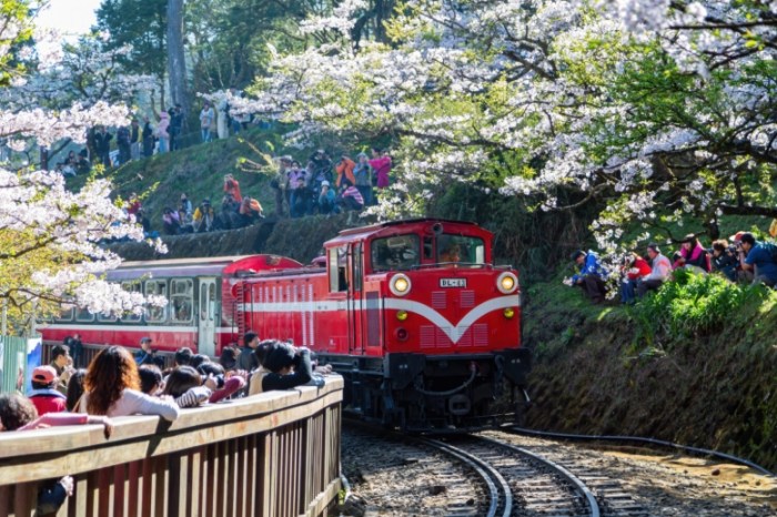 台灣火車親子遊 台灣火車親子遊