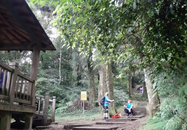 三峽登山步道推薦 三峽登山步道推薦