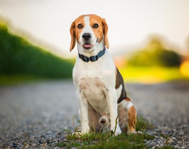 藥膏中毒症狀 藥膏中毒症狀