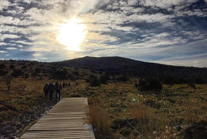 漢拿山登山 漢拿山登山