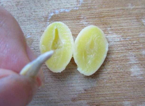 銀杏去芯步驟 銀杏去芯步驟