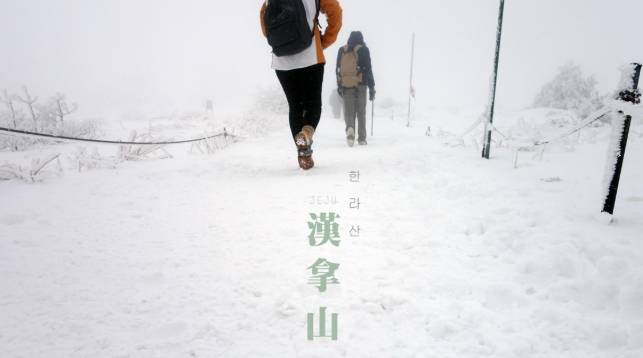 濟州島漢拿山登山 濟州島漢拿山登山