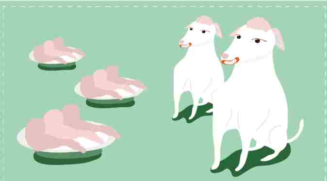 狗雞胸肉餵食量