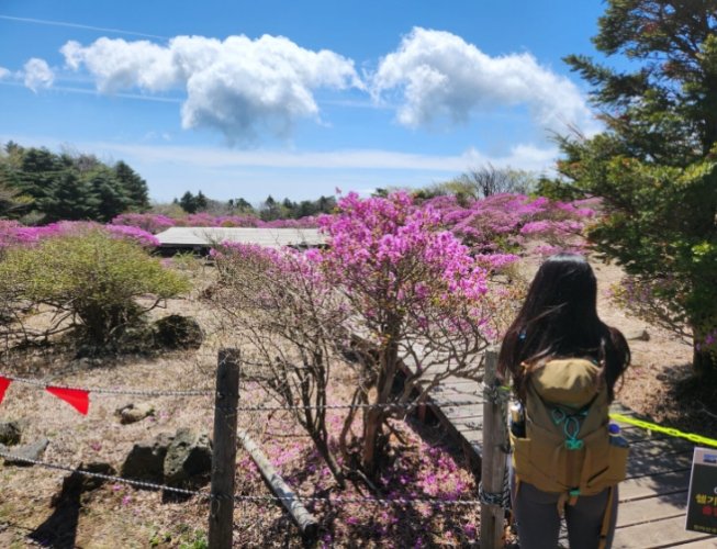 漢拏山申請流程 漢拏山申請流程