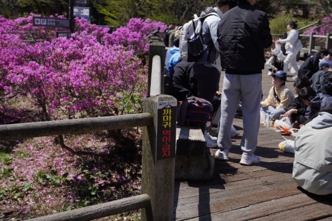 濟州島漢拏山申請 濟州島漢拏山申請