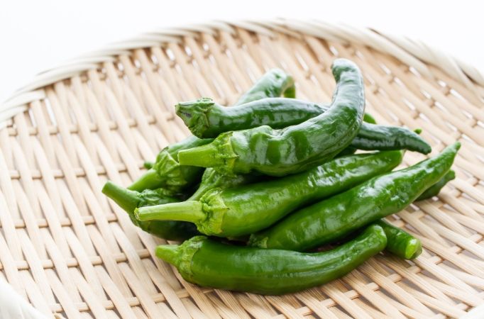 糯米椒辣度 糯米椒辣度