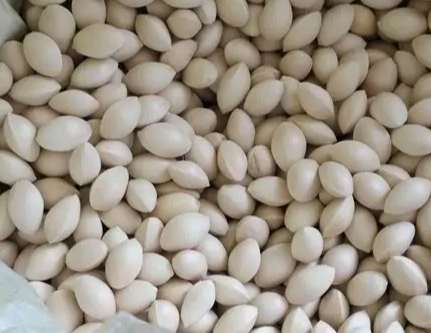 白果食用方法 白果食用方法