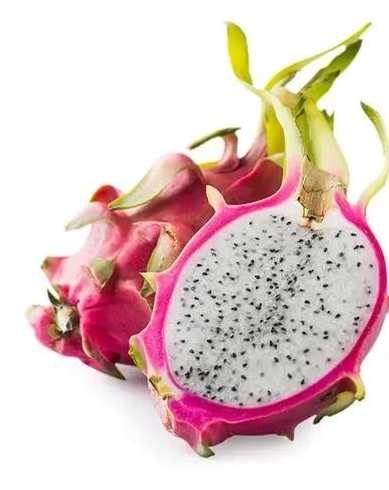 火龍果對狗有害嗎 火龍果對狗有害嗎