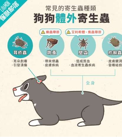 狗狗寄生虫症狀