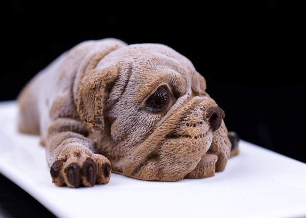 狗零食安全 狗零食安全