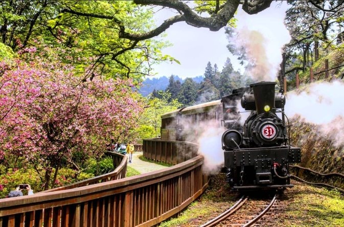 阿里山景點推薦