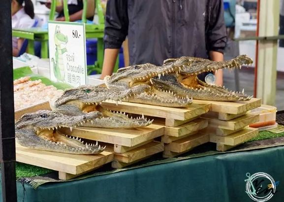 台灣生態農場交通資訊