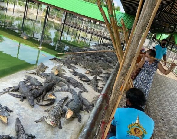 台灣生態農場交通資訊