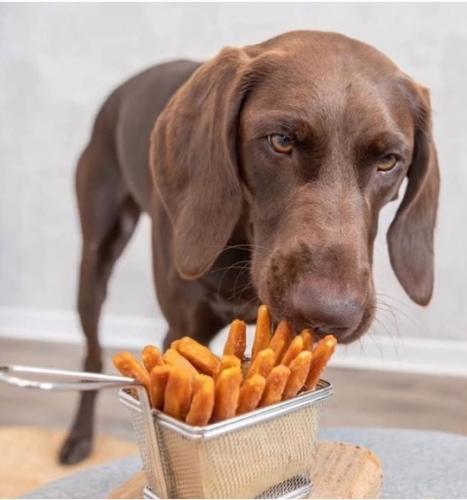 番薯對狗狗好處 番薯對狗狗好處