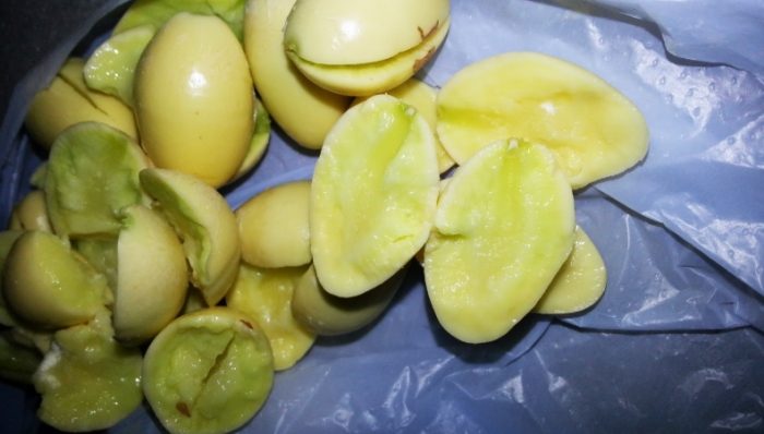 銀杏去芯步驟 銀杏去芯步驟