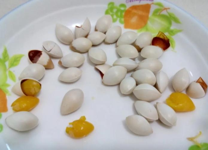 白果食療功效 白果食療功效