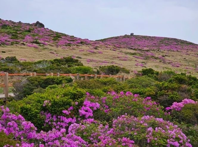 漢拏山登山季節全攻略：最佳時機、路線選擇與安全須知