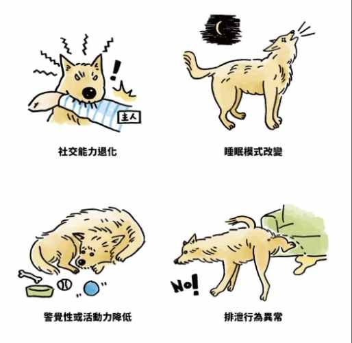 狗狗拒藥解決方案 狗狗拒藥解決方案