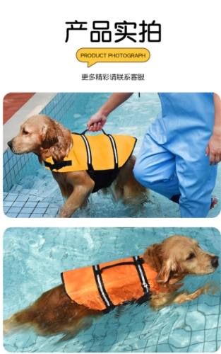 寵物救生衣比較 寵物救生衣比較