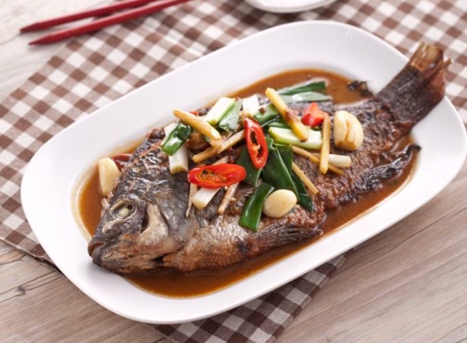 清蒸紅燒魚食譜 清蒸紅燒魚食譜