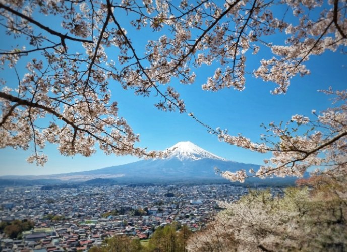鎌倉一日遊 鎌倉一日遊