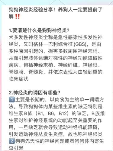 神經狗訓練 神經狗訓練