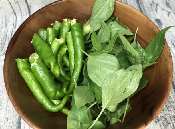 糯米椒卡路里 糯米椒卡路里